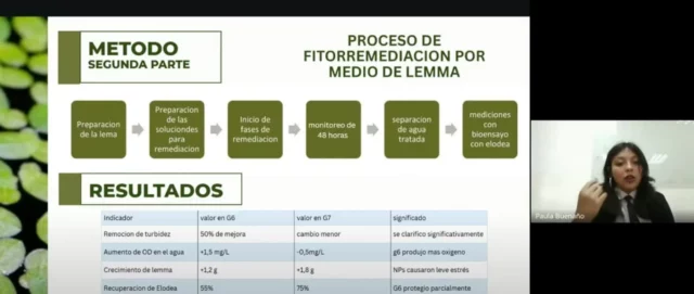 Efectos de la contaminación por nanopartículas de plástico en plantas acuáticas - ISM Campus North (Ecuador).